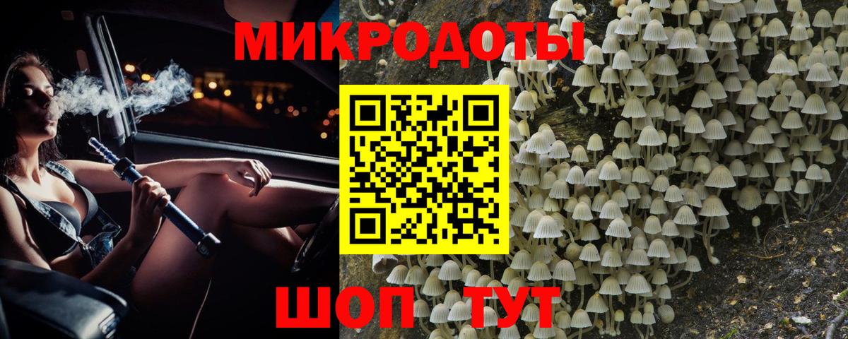 Псилоцибиновые грибы мицелий Михайловск
